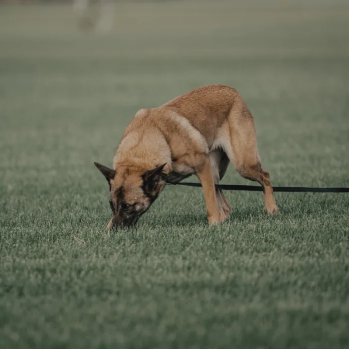 Tracking